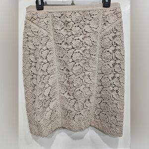 Elegant Lace Beige Skirt